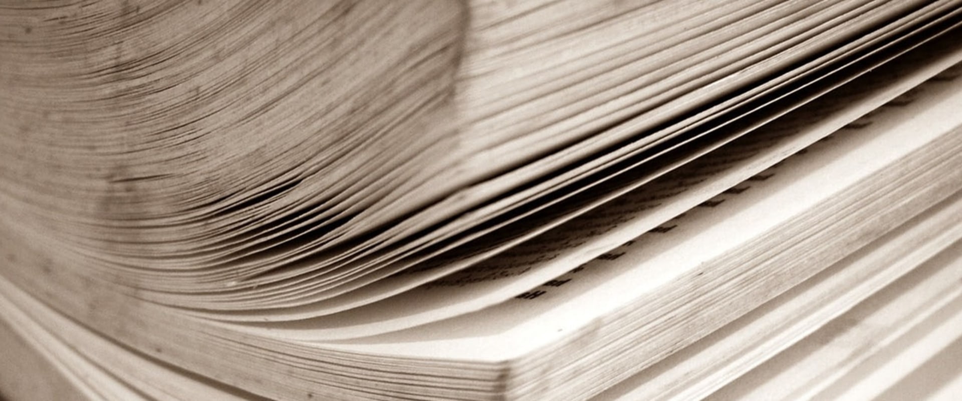 Wat is het juiste meervoud van dak?